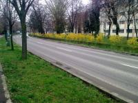 Imagine atasata: Image1011.jpg